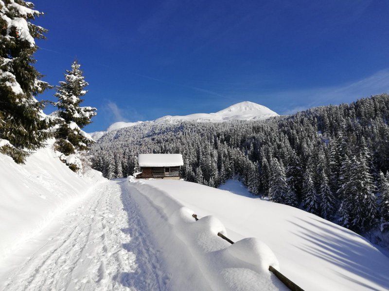 Verschneiter Winterweg oberhalb von Wenns